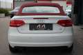 Audi A3 Cabriolet 1.6 Attraction Weiß - thumbnail 8