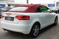 Audi A3 Cabriolet 1.6 Attraction Weiß - thumbnail 6