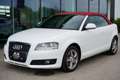 Audi A3 Cabriolet 1.6 Attraction Weiß - thumbnail 2