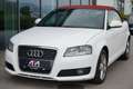 Audi A3 Cabriolet 1.6 Attraction Weiß - thumbnail 3