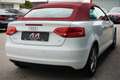 Audi A3 Cabriolet 1.6 Attraction Weiß - thumbnail 7