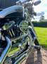 Harley-Davidson Sportster 1200 XL Custom Bike 100th Anniversary Silver - thumbnail 5