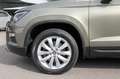 SEAT Ateca Ateca 1.4 TSI Style Navi/Klima/LED/Sitzhzg./BC NSW Grün - thumbnail 3