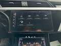 Audi e-tron 55 quattro 95kWh Advanced *VIRTUELLE SPIEGEL*LE... Schwarz - thumbnail 49