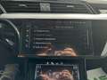 Audi e-tron 55 quattro 95kWh Advanced *VIRTUELLE SPIEGEL*LE... Schwarz - thumbnail 50