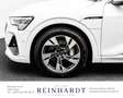 Audi e-tron 55 2x S LINE ACC/PANO/AHK/360°HuD/NIGHT Weiß - thumbnail 16
