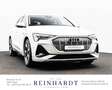Audi e-tron 55 2x S LINE ACC/PANO/AHK/360°HuD/NIGHT Weiß - thumbnail 10