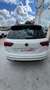 Volkswagen Tiguan 2.0TDI Sport DSG 110kW Wit - thumbnail 6