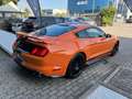 Ford Mustang Fastback 5.0 ti-vct V8 GT 466cv MANUALE - IVA ESP. Orange - thumbnail 4