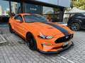 Ford Mustang Fastback 5.0 ti-vct V8 GT 466cv MANUALE - IVA ESP. Orange - thumbnail 3