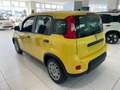 Fiat Panda 1.0 FireFly S&S Hybrid PRONTA CONSEGNA Giallo - thumbnail 4
