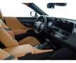 Lexus ES 300 300h Premium Szary - thumbnail 12