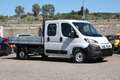 Fiat Ducato 35 2.2 Mjt 140CV - L3 H1 DOPPIA CABINA CASSONE Bianco - thumbnail 2
