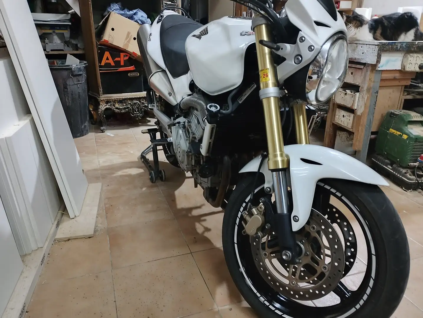Honda Hornet 600 Blanco - 2
