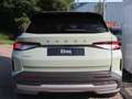 Skoda Elroq Business Edition Tour Elektromotor 210 kW / 286 PK Groen - thumbnail 39