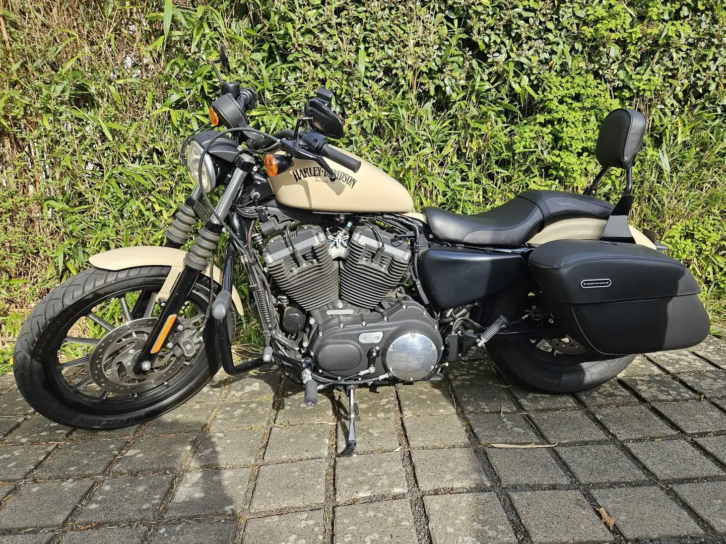 Harley-Davidson Sportster 883 Sissibar, Sturzbügel, Koffer Beżowy - 1