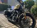 Harley-Davidson Sportster 883 Sissibar, Sturzbügel, Koffer Beige - thumbnail 3