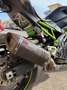 Kawasaki 900 Z Performance con ABS Verde - thumbnail 6