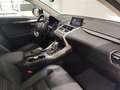Lexus NX 300 300h Executive 4WD Blanco - thumbnail 6
