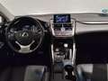 Lexus NX 300 300h Executive 4WD Білий - thumbnail 8