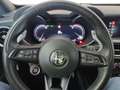Alfa Romeo Stelvio 2.2 Turbodiesel 210 CV AT8 Q4 Veloce Blauw - thumbnail 11