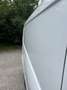 Ford Transit Connect Transit Connect L2 220 1,5 Ecoblue Basis Basis Weiß - thumbnail 10