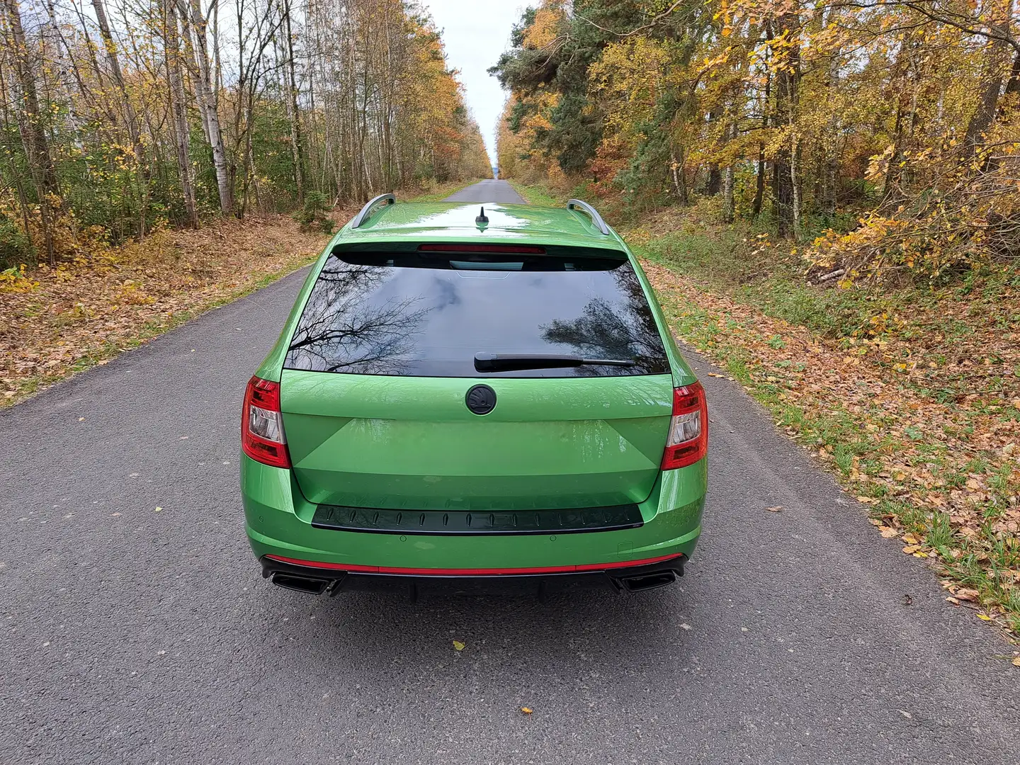 Skoda Octavia Octavia Combi 2.0 TSI (Green tec) DSG RS Grün - 1