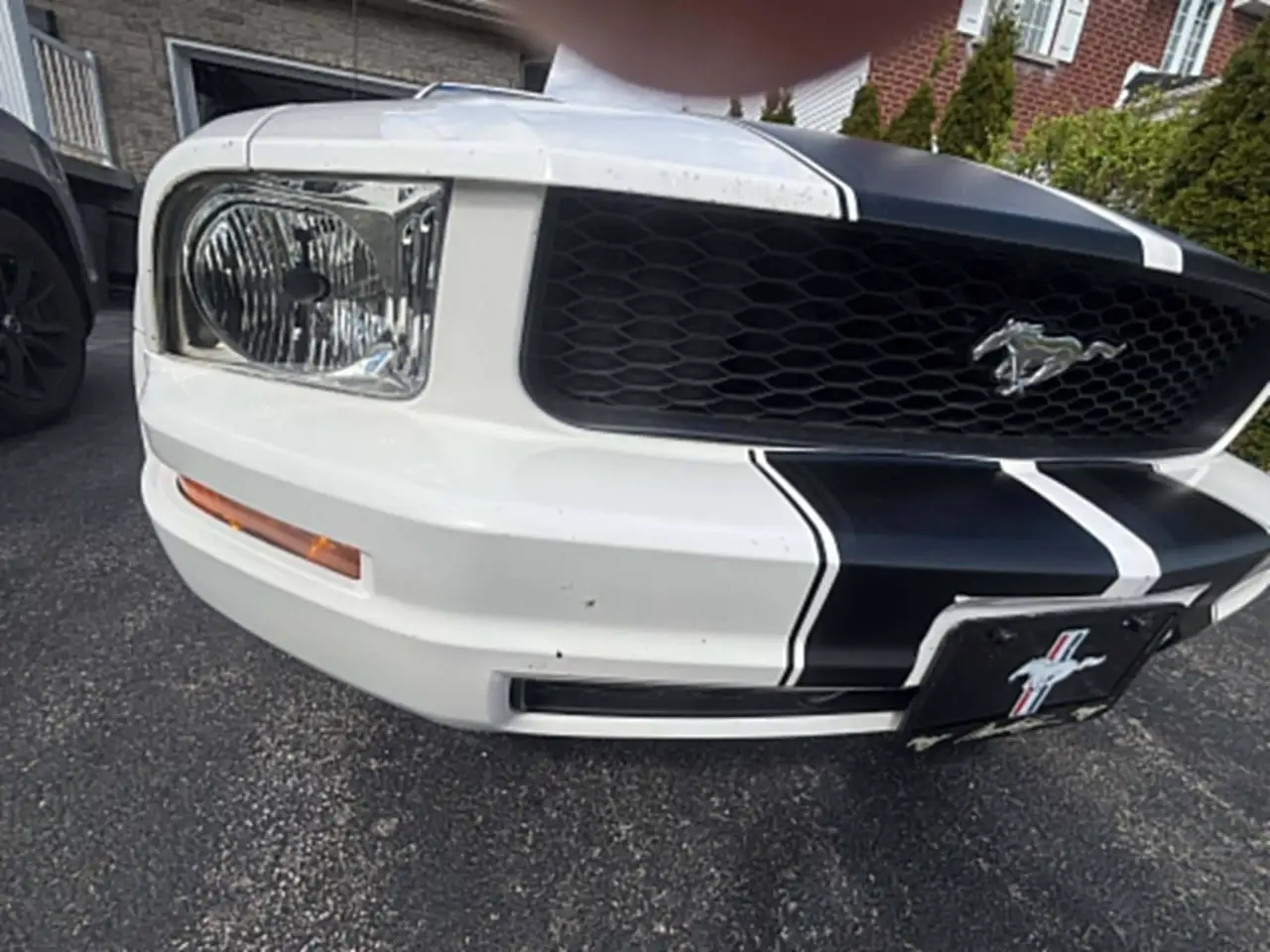 Ford Mustang снимка Ford Mustang