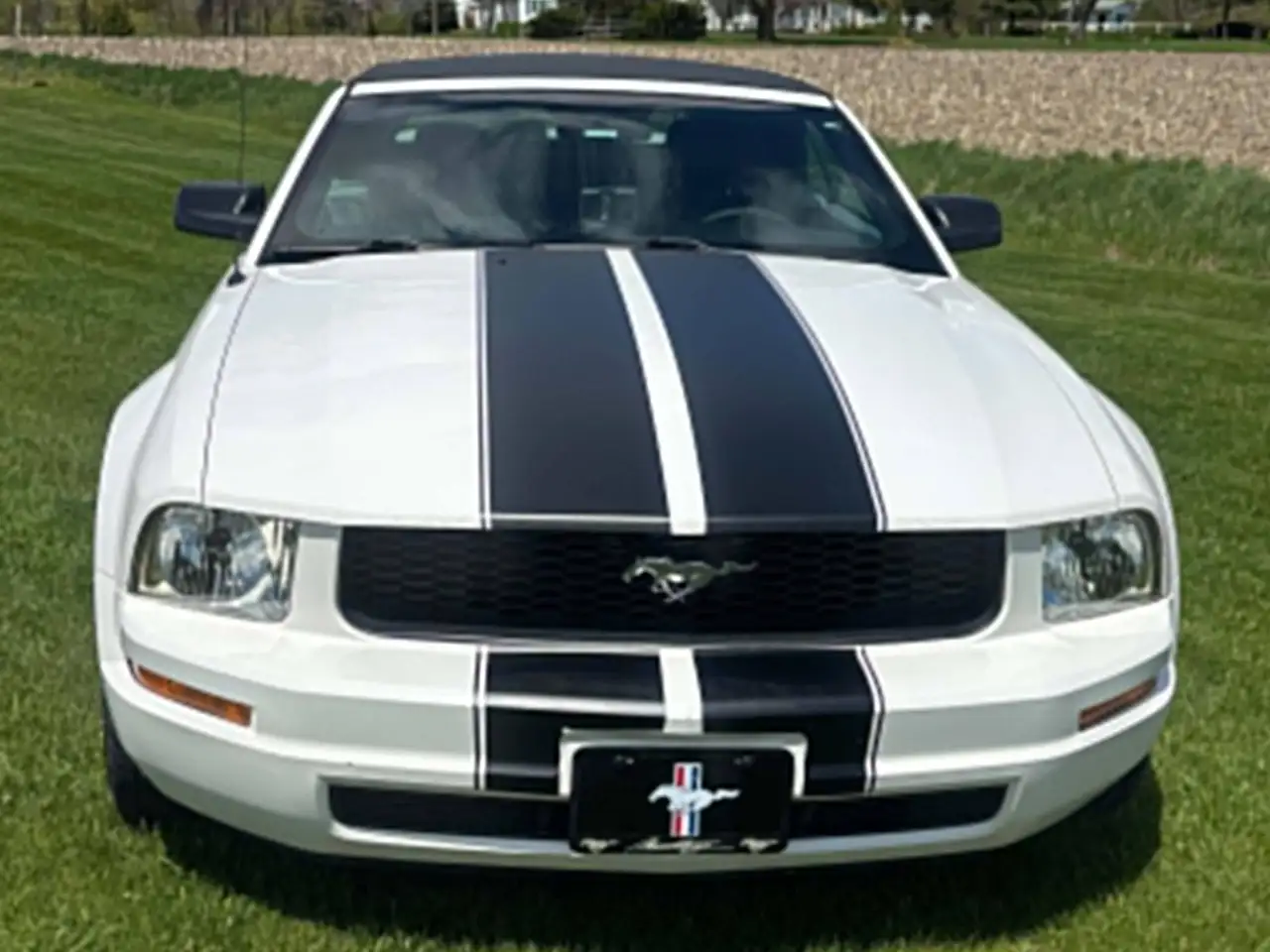 Ford Mustang снимка Ford Mustang
