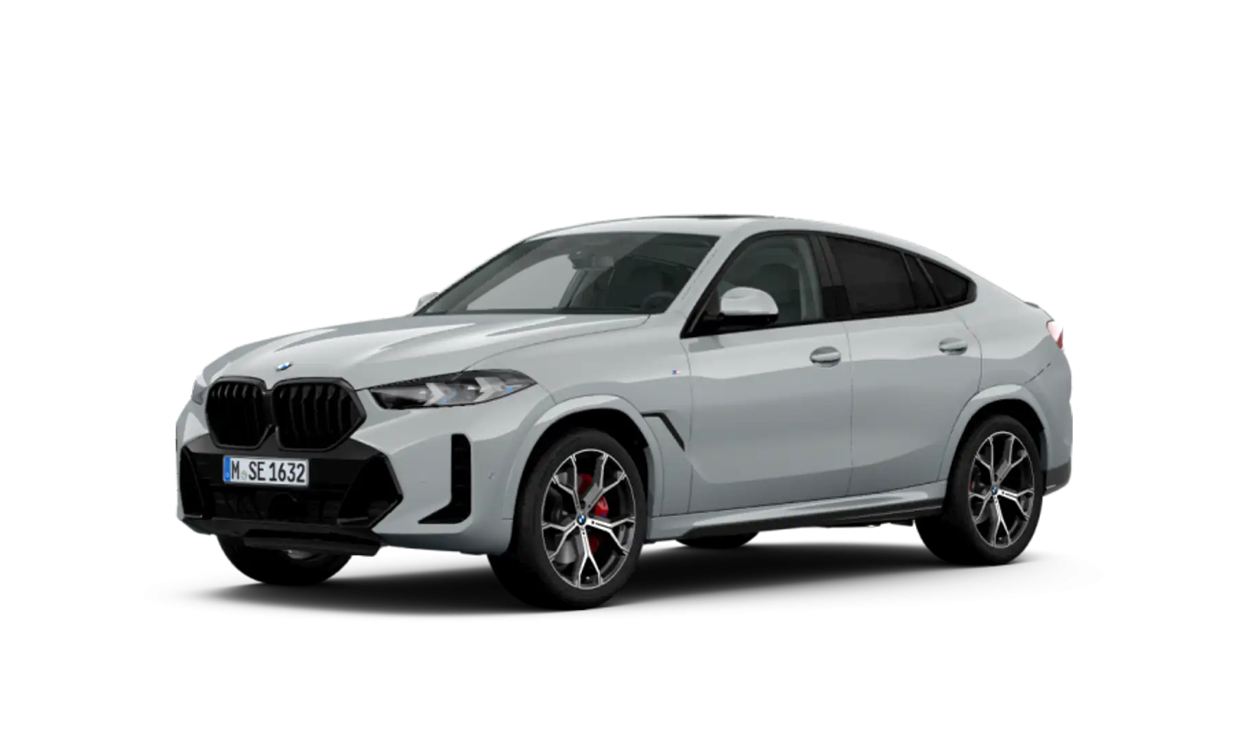 BMW X6 xDrive30d MSport Pro Gris - 1