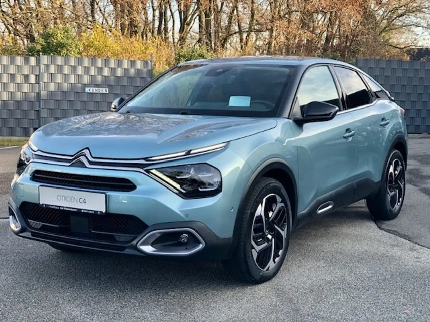 Citroen C4 Shine Blau - 1