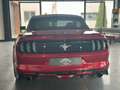 Ford Mustang Cabrio 2.3 EcoBoost Cabrio/Sitzbelüftung Rot - thumbnail 19