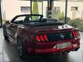 Ford Mustang Cabrio 2.3 EcoBoost Cabrio/Sitzbelüftung Rouge - thumbnail 23