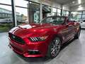 Ford Mustang Cabrio 2.3 EcoBoost Cabrio/Sitzbelüftung Rosso - thumbnail 4