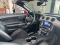 Ford Mustang Cabrio 2.3 EcoBoost Cabrio/Sitzbelüftung Rojo - thumbnail 29