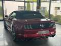 Ford Mustang Cabrio 2.3 EcoBoost Cabrio/Sitzbelüftung Rood - thumbnail 18