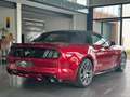 Ford Mustang Cabrio 2.3 EcoBoost Cabrio/Sitzbelüftung Rojo - thumbnail 13