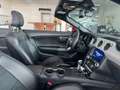 Ford Mustang Cabrio 2.3 EcoBoost Cabrio/Sitzbelüftung Rojo - thumbnail 30