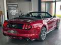 Ford Mustang Cabrio 2.3 EcoBoost Cabrio/Sitzbelüftung Rood - thumbnail 21