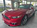 Ford Mustang Cabrio 2.3 EcoBoost Cabrio/Sitzbelüftung Rouge - thumbnail 10