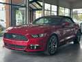 Ford Mustang Cabrio 2.3 EcoBoost Cabrio/Sitzbelüftung Rosso - thumbnail 9