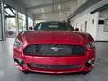 Ford Mustang Cabrio 2.3 EcoBoost Cabrio/Sitzbelüftung Rood - thumbnail 11