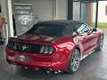 Ford Mustang Cabrio 2.3 EcoBoost Cabrio/Sitzbelüftung Rot - thumbnail 17