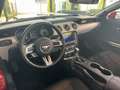 Ford Mustang Cabrio 2.3 EcoBoost Cabrio/Sitzbelüftung Rood - thumbnail 27