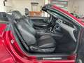 Ford Mustang Cabrio 2.3 EcoBoost Cabrio/Sitzbelüftung Rojo - thumbnail 28
