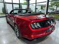 Ford Mustang Cabrio 2.3 EcoBoost Cabrio/Sitzbelüftung Rosso - thumbnail 15