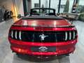 Ford Mustang Cabrio 2.3 EcoBoost Cabrio/Sitzbelüftung Rood - thumbnail 16