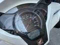 Honda SH 300 Bianco - thumbnail 3