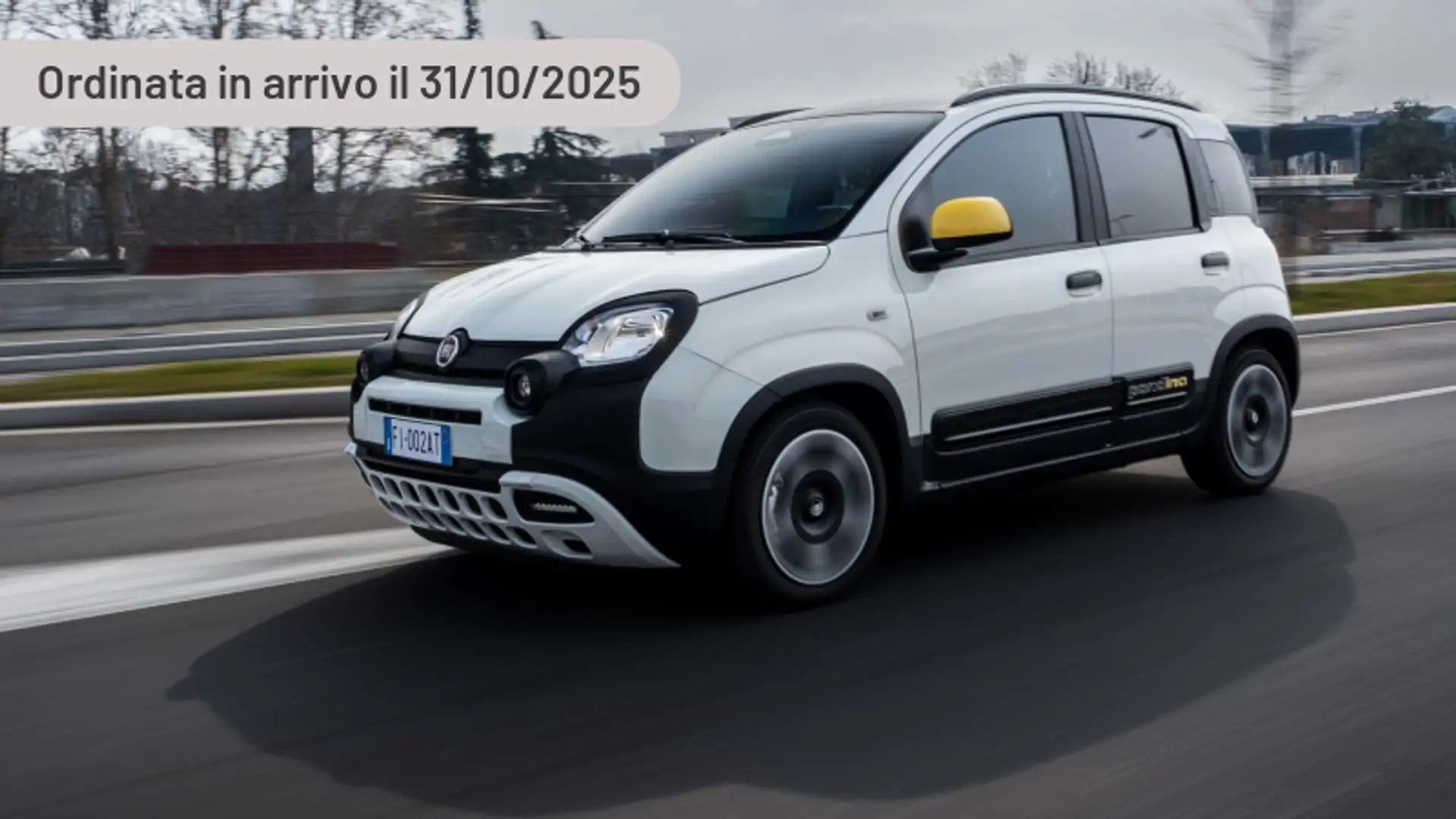 Fiat New Panda 1.0 FireFly S&S Hybrid Pandina Argent - 1