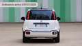 Fiat New Panda 1.0 FireFly S&S Hybrid Pandina Zilver - thumbnail 5